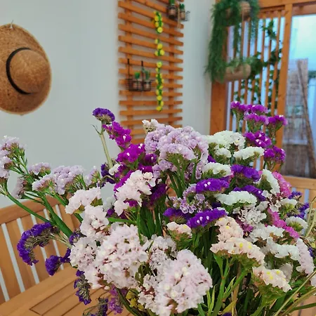 Cantinho Figueiras نازاريه