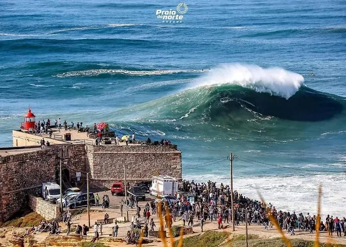 Cantinho Figueiras نازاريه