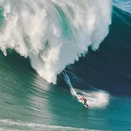 Ferienhaus Cantinho Figueiras