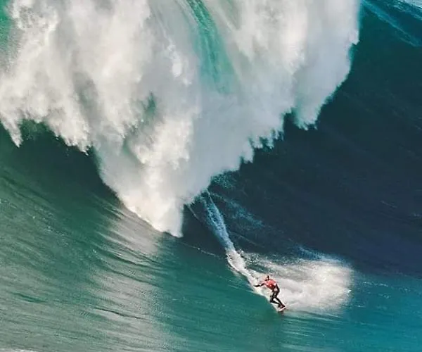 בית נופש Cantinho Figueiras