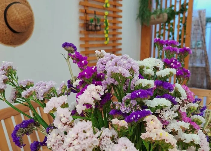 Cantinho Figueiras נאזרה